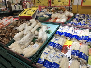 政策落地促生豬均價出現下跌態勢，下半年通脹壓力可控