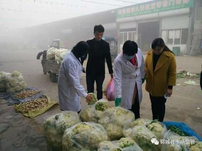 嚴(yán)把食用農(nóng)產(chǎn)品入市關(guān)，確保群眾“菜籃子”安全